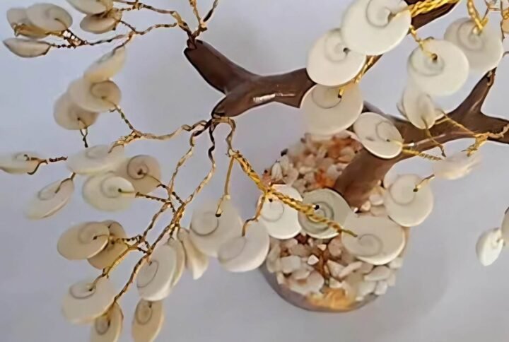 Gomti Chakra Feng Shui tree for wealth prosperity and positive energy by Vimoksha